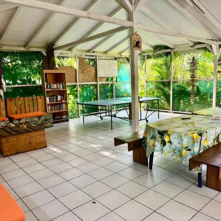 Auberge K-Wan Hostel - Proche Plages Deshaies Eksteriør billede